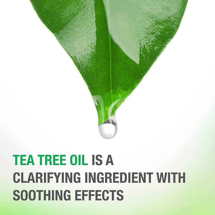 Tea Tree Oil Scalp Soothing Shampoo - Moisturizes Dry Scalp & Hair, PhSooth and Moisturize hair from root to tip with Neutrogena Healthy Scalp Soothe and Calm Shampoo and Conditioner
Ideal for Dry, Uncomfortable Scalp and Hair: Our sooTea Tree Oil Scalp Soothing Shampoo - Moisturizes Dry Scalp & Hair, Ph-Balanced, Paraben & Phthalate-Free, Safe